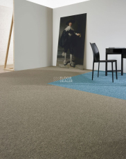 Tradition Tradition 505 фото 3 | FLOORDEALER